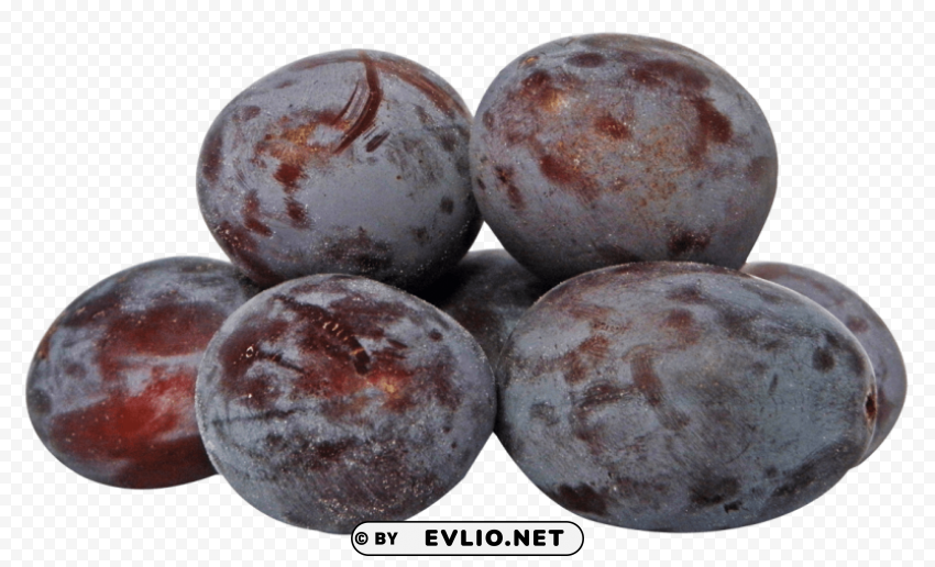 Plums Isolated Artwork On Transparent PNG