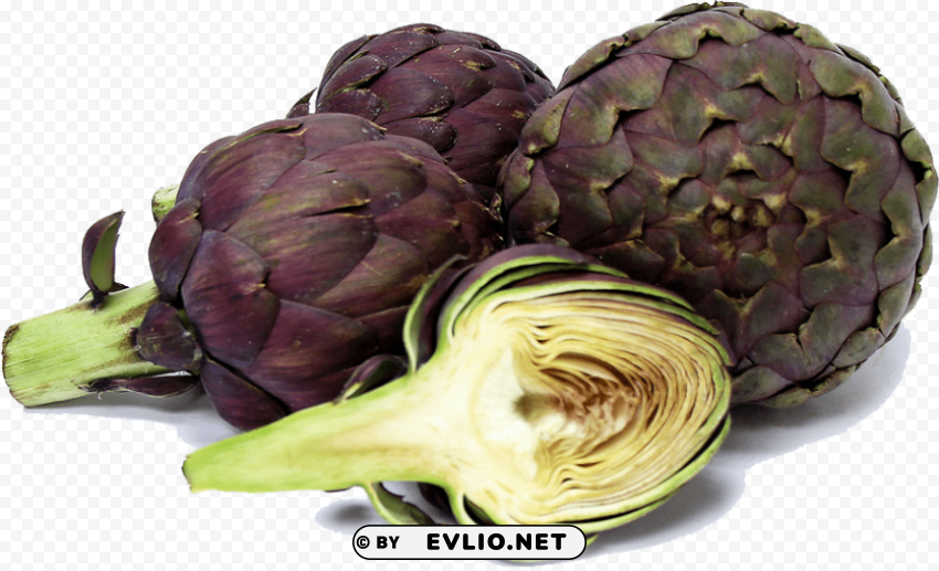 artichokes PNG images with transparent elements pack