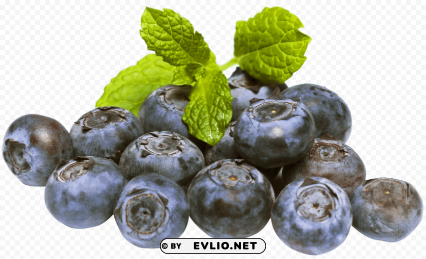Blueberries PNG Isolated Design Element with Clarity