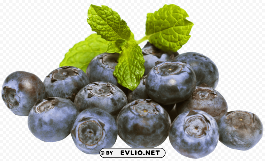 blueberries PNG transparent photos for presentations