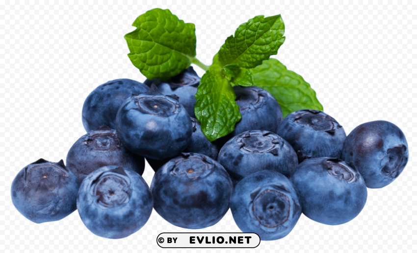 Blueberries with leaves Isolated Illustration on Transparent PNG