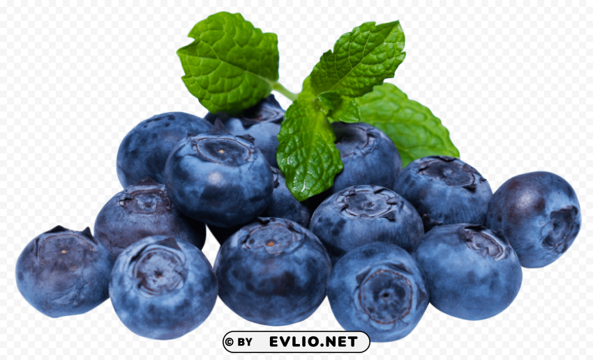 blueberry with leaf Isolated Graphic in Transparent PNG Format PNG images with transparent backgrounds - Image ID fd07f000