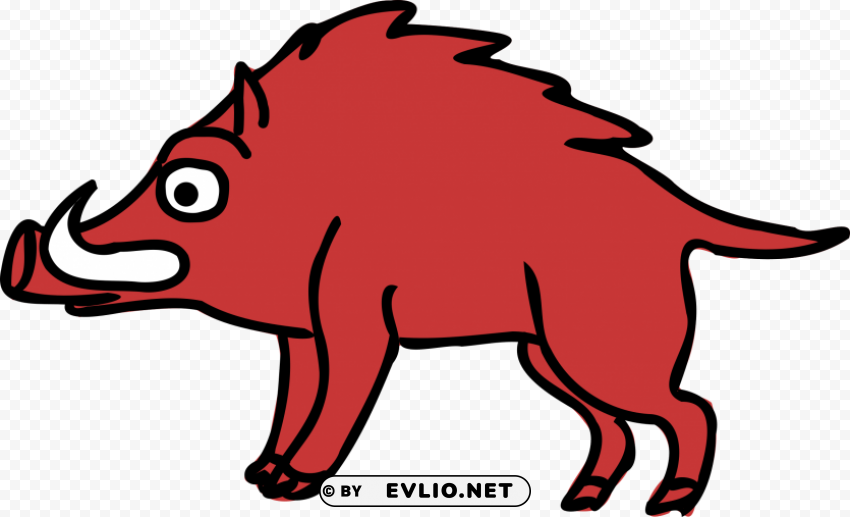 boar Isolated Element with Transparent PNG Background