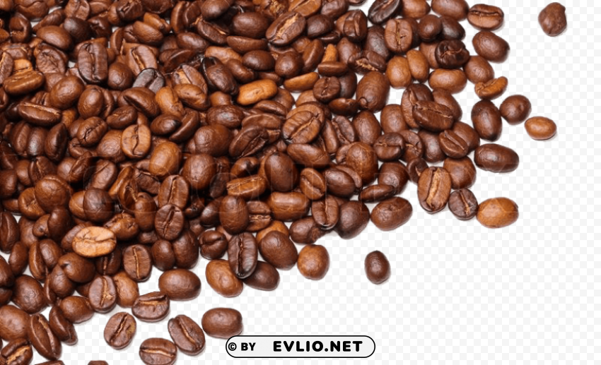 coffee beans PNG with Isolated Object