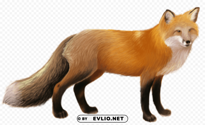 fox Isolated Artwork in HighResolution Transparent PNG