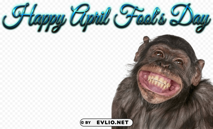 happy birthday funny smile PNG Image with Transparent Isolated Graphic Element PNG transparent with Clear Background ID 55337065