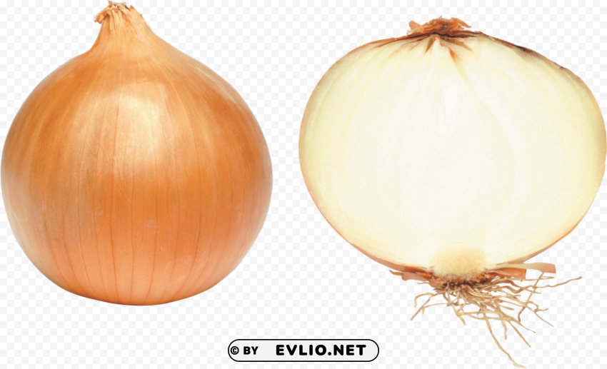 onion Transparent PNG Artwork with Isolated Subject