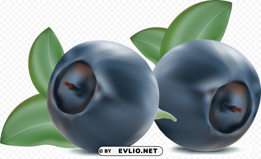 blueberries Transparent design PNG clipart png photo - 3779166a