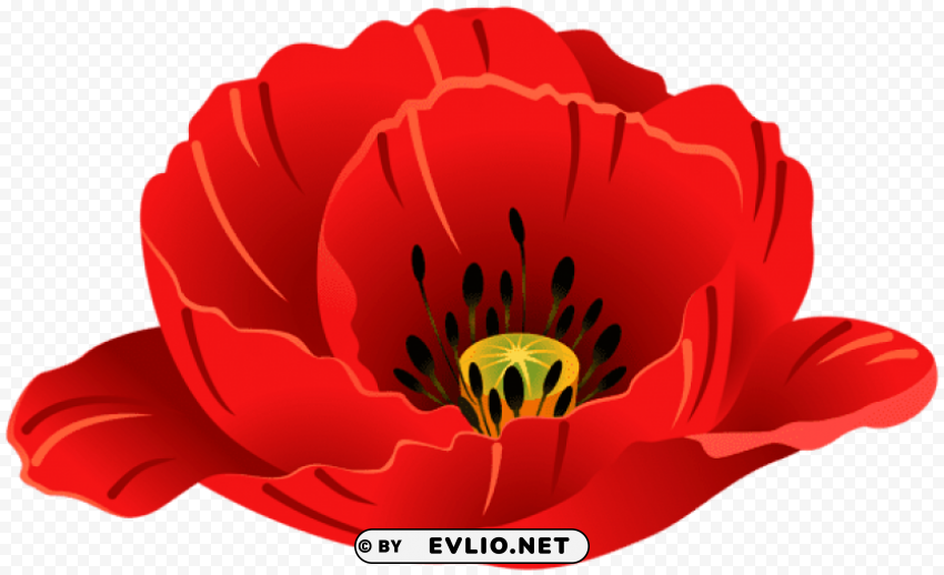 PNG image of poppy HighResolution Transparent PNG Isolated Item with a clear background - Image ID 6e0017fc