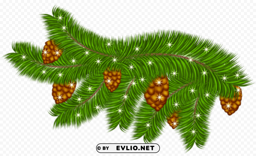transparent pine branch with pine cones Isolated Icon with Clear Background PNG