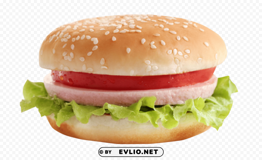 burger Isolated Artwork on HighQuality Transparent PNG