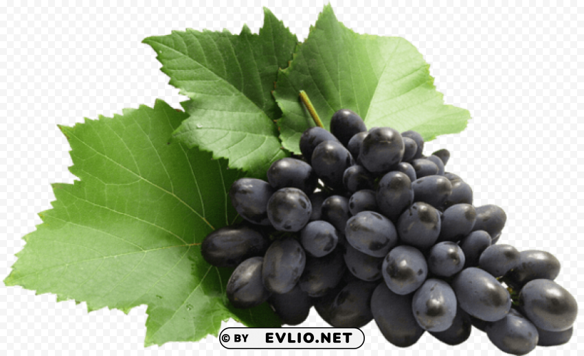 large grapes PNG images free download transparent background
