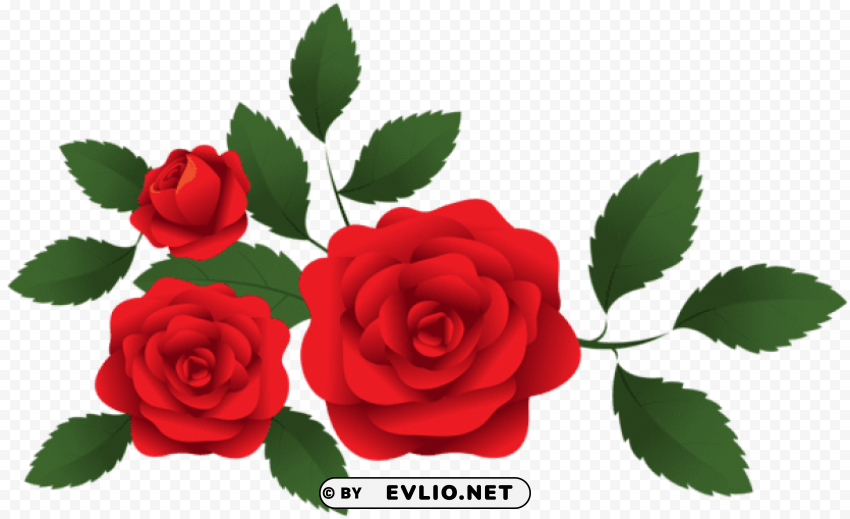 red roses decoration High-resolution PNG images with transparent background
