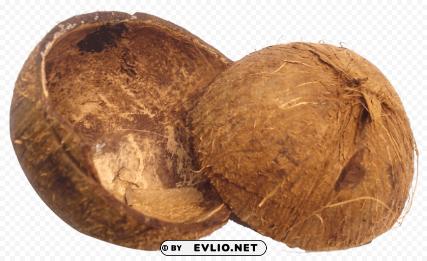 Coconut Shell Isolated Graphic on Clear Background PNG