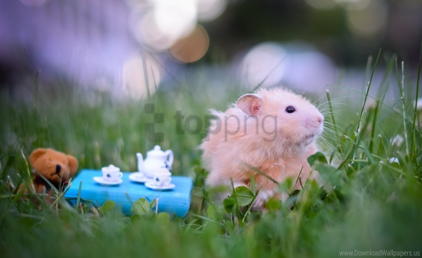 game grass hamster tea party wallpaper Transparent Background Isolated PNG Design