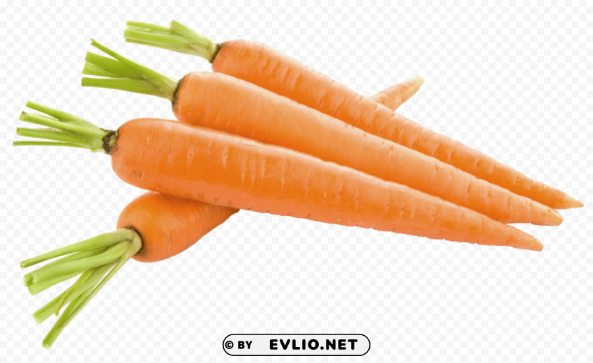 carrot PNG images with transparent layering