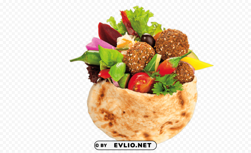 falafel Isolated Illustration in HighQuality Transparent PNG