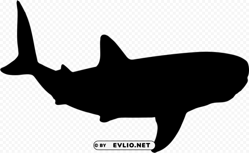 shark shape Free PNG images with alpha channel PNG transparent with Clear Background ID 9f795afc