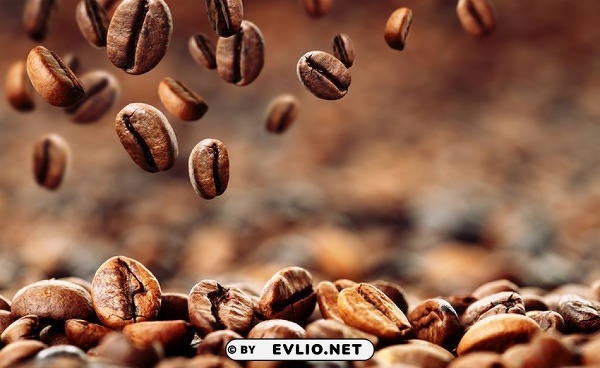 coffee beans PNG Image Isolated with Transparent Clarity
