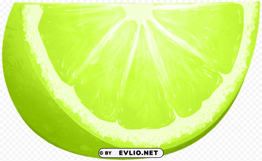 lime slice PNG Graphic Isolated on Clear Background Detail