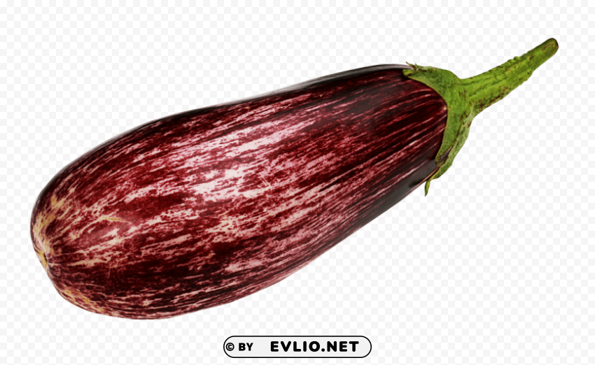 purple eggplant Transparent PNG Isolated Illustration