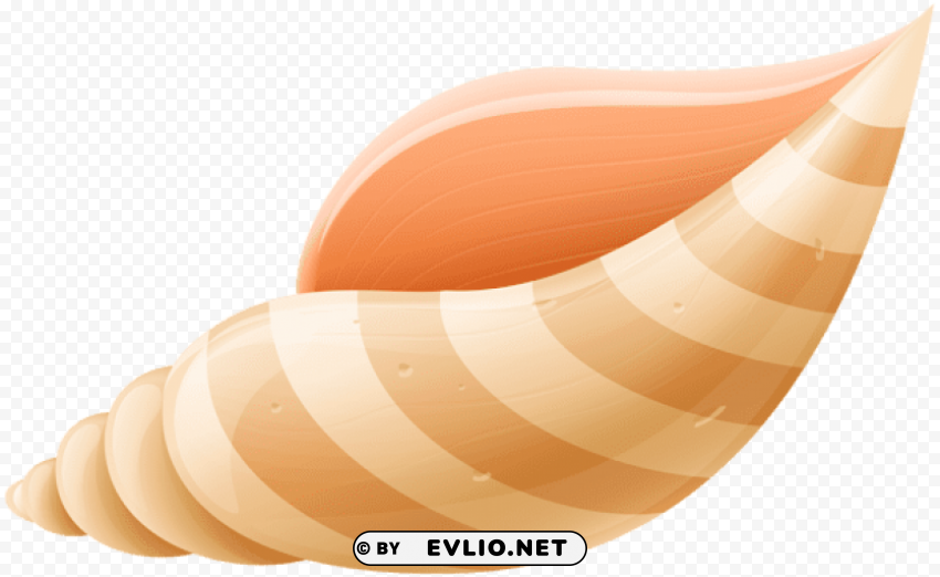 sea shell Transparent PNG Isolated Element with Clarity