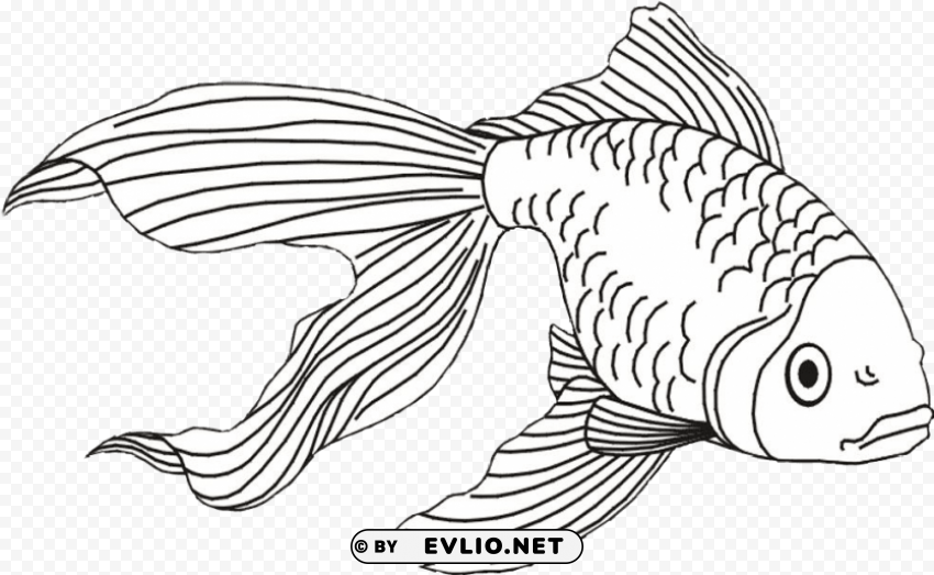 fish and shark coloring pages Clear PNG pictures assortment