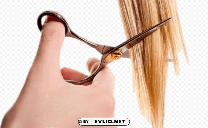 hair cutting blond Transparent PNG vectors