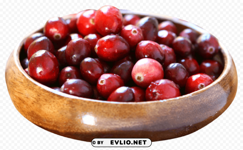 Cranberries Isolated Graphic in Transparent PNG Format