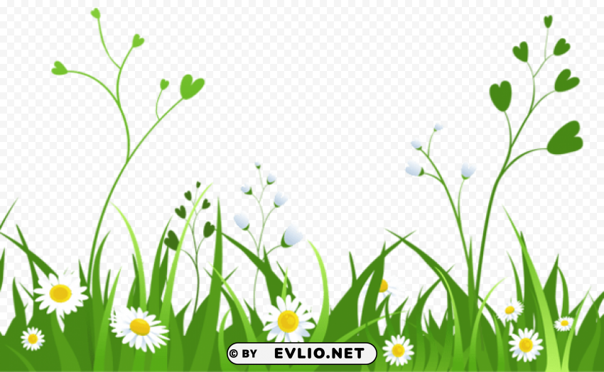daisies with grasspicture Isolated Graphic with Transparent Background PNG