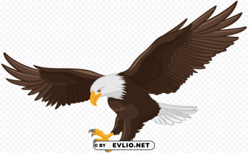 eagle HighResolution Isolated PNG with Transparency