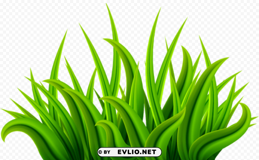 grass green Isolated Subject in HighQuality Transparent PNG