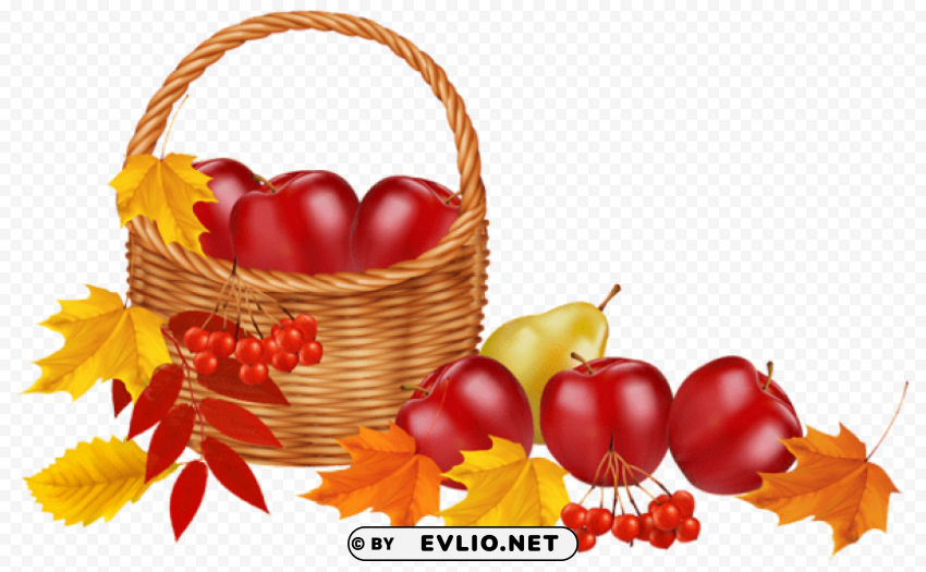basket with fruits and autumn leaves PNG for educational use
