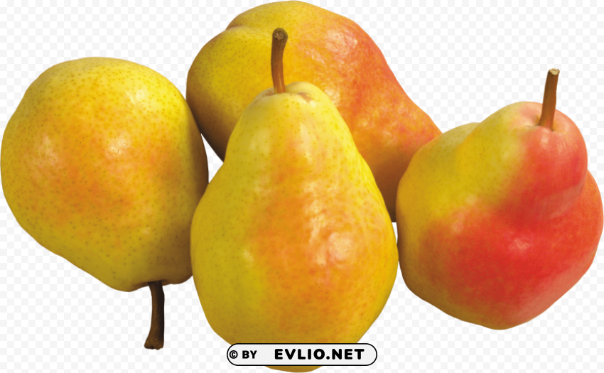 pears PNG with transparent background for free
