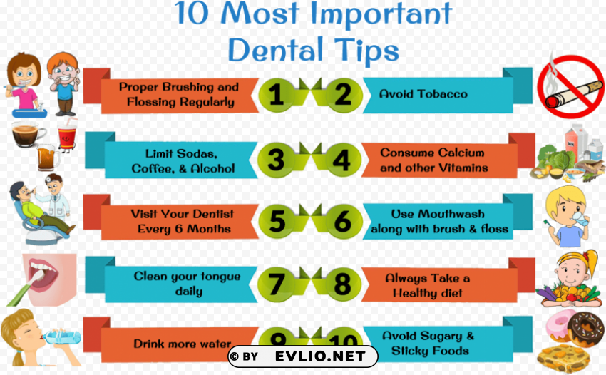 10 most important dental tips PNG Image with Transparent Cutout