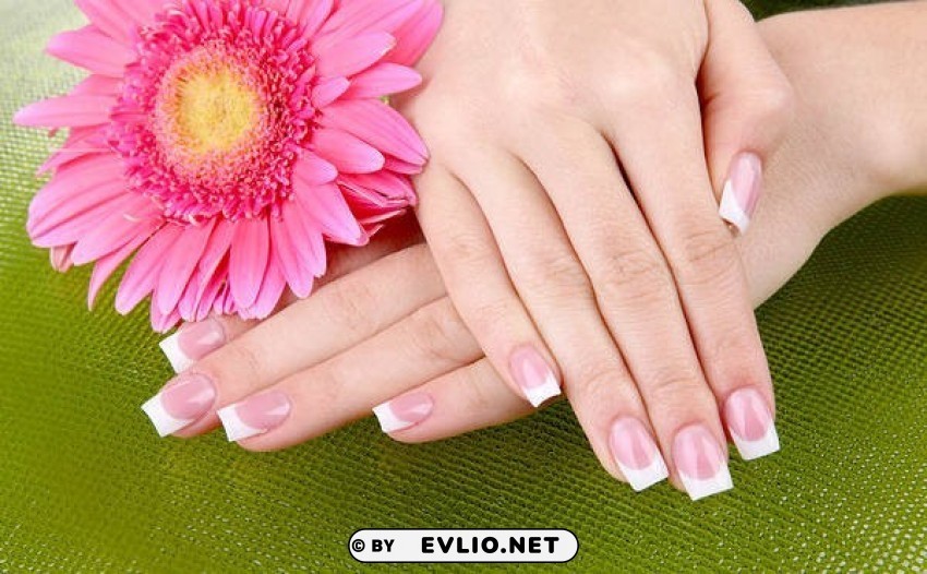 beautiful french manicure Isolated Item in Transparent PNG Format