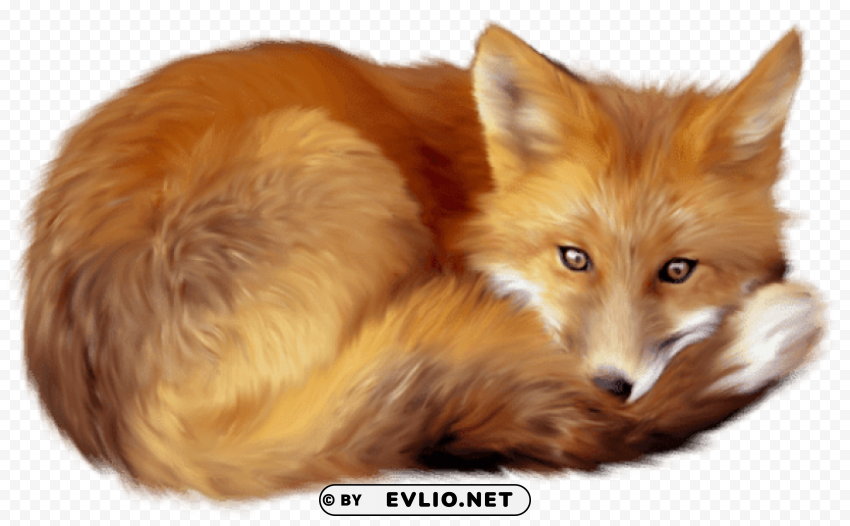 fox free pictures PNG graphics with clear alpha channel broad selection