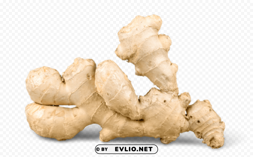 Ginger PNG Image Isolated With HighQuality Clarity