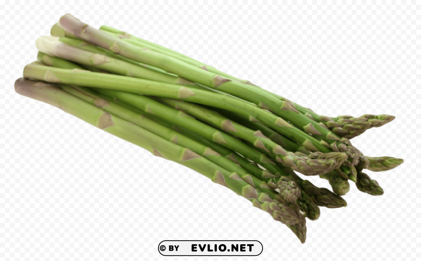 asparagus Transparent PNG Isolated Graphic with Clarity