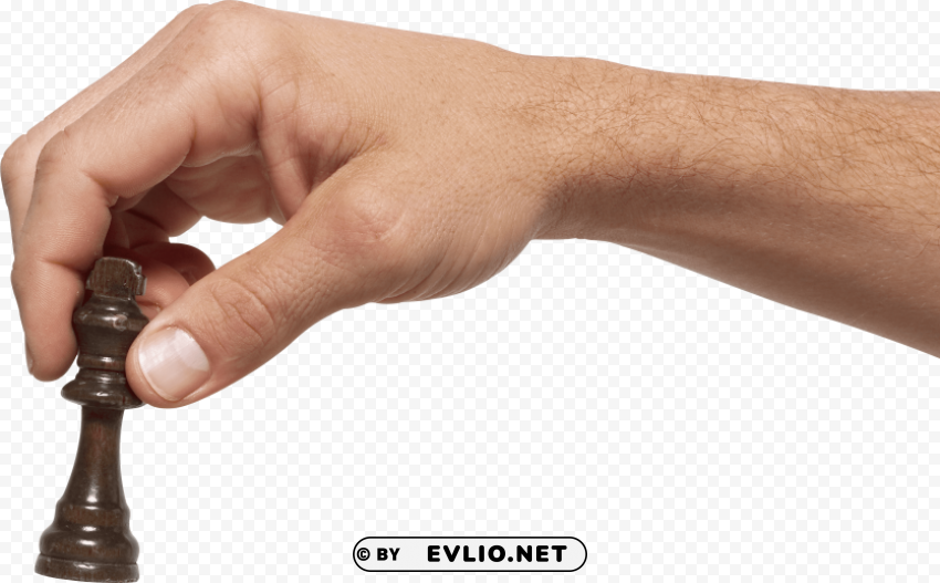 Hands HighQuality Transparent PNG Isolated Graphic Element
