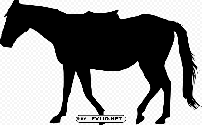horse silhouette High-resolution transparent PNG files