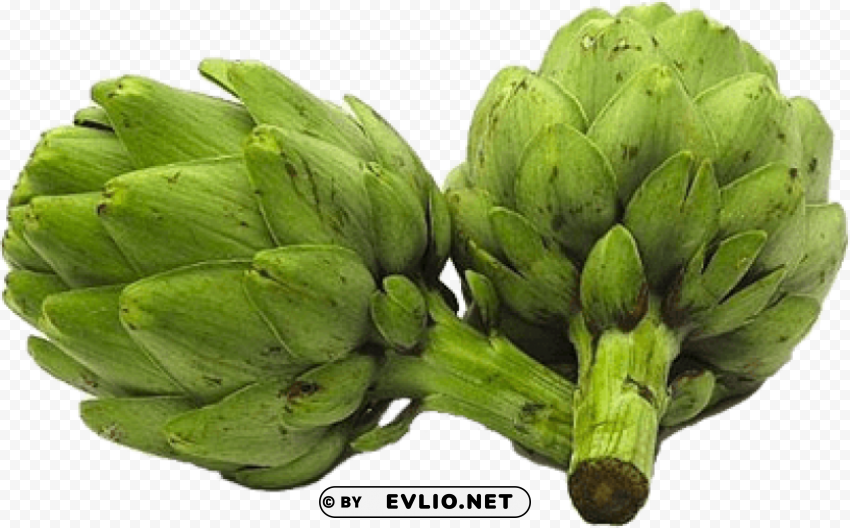 artichokes pic Isolated Element with Transparent PNG Background