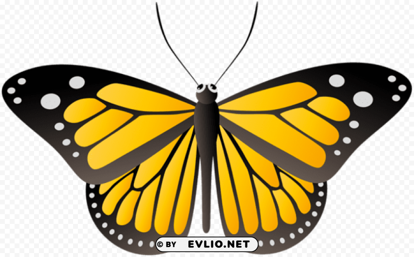butterfly yellow PNG images with transparent canvas compilation