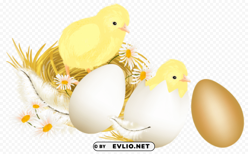 easter eggs and chickens Transparent design PNG