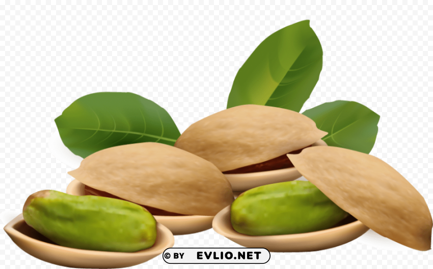pistachios Transparent PNG photos for projects