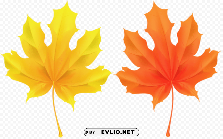 Autumn Deco Leaves Isolated Illustration On Transparent PNG