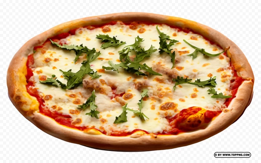 Cheesy Catupiry Pizza HD Isolated Element in Clear Transparent PNG
