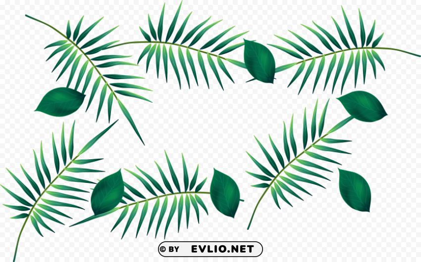 palm leaf watercolour Transparent PNG download