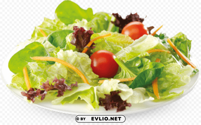 salad Transparent Background PNG Isolated Illustration