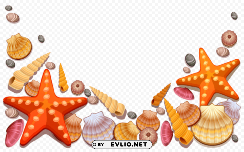sea shells decor vector PNG images with transparent canvas compilation